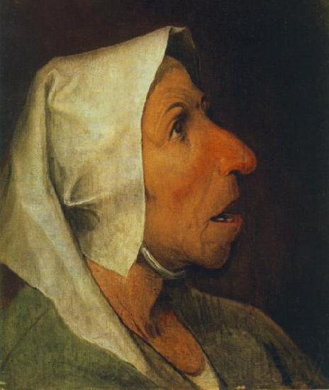 BRUEGEL, Pieter the Elder Portrait of an Old Woman  gfhgf Spain oil painting art